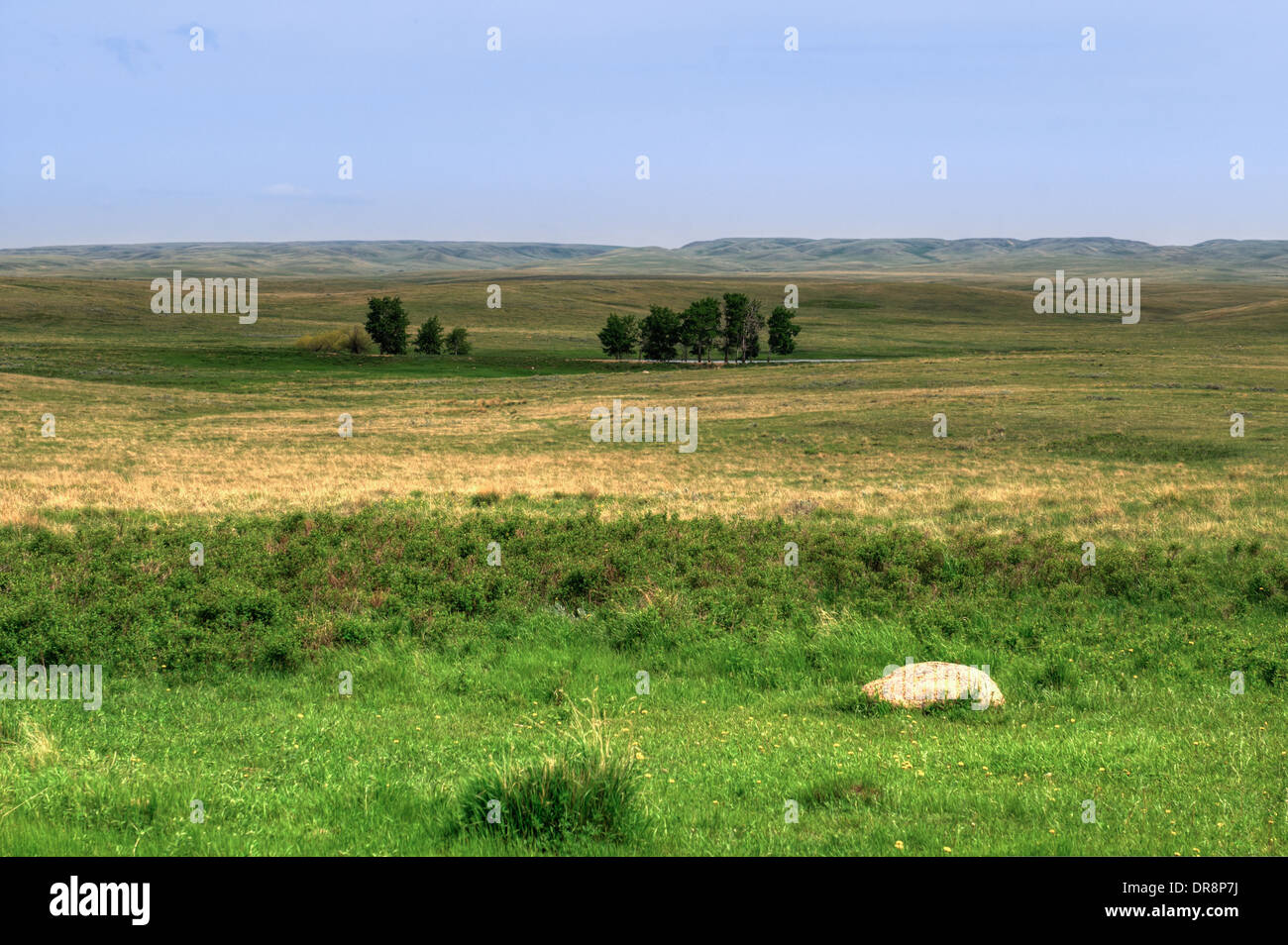 Vista dell'ingresso di praterie Parco Nazionale di Saskatchewan in Canada Foto Stock