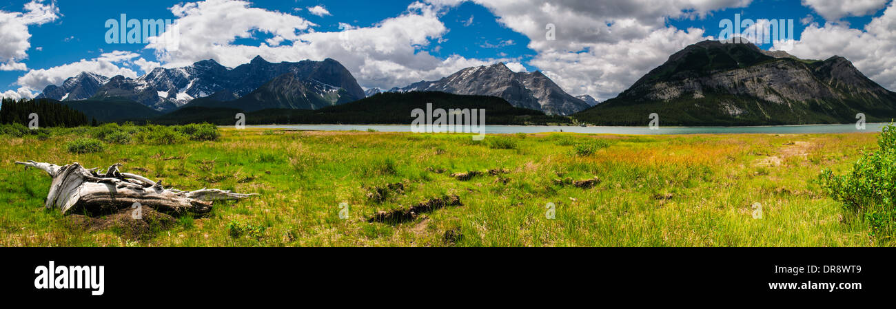 Vedute panoramiche della montagna, Kananaskis Country Alberta, Canada Foto Stock