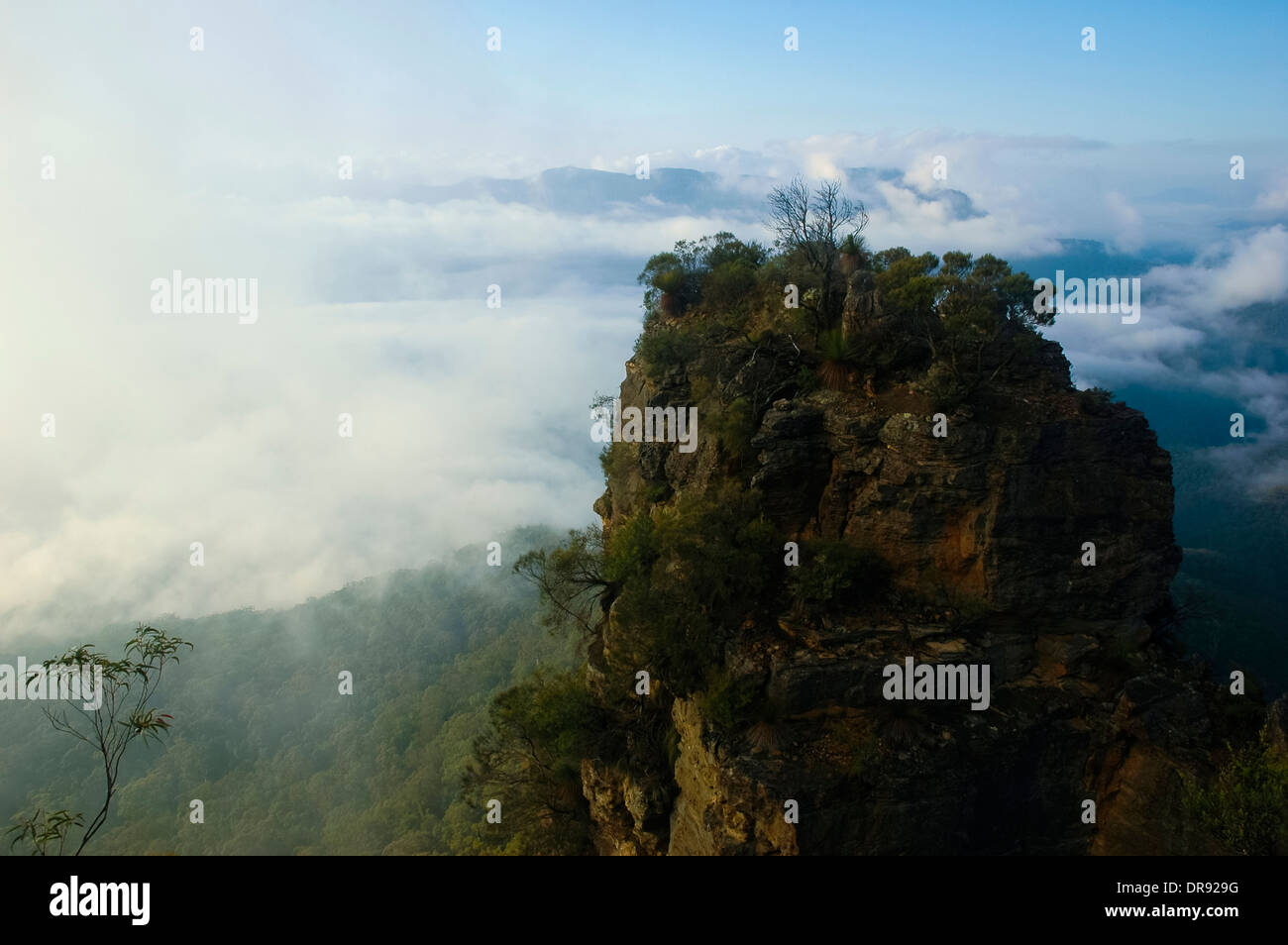 Il Parco Nazionale Blue Mountains Foto Stock