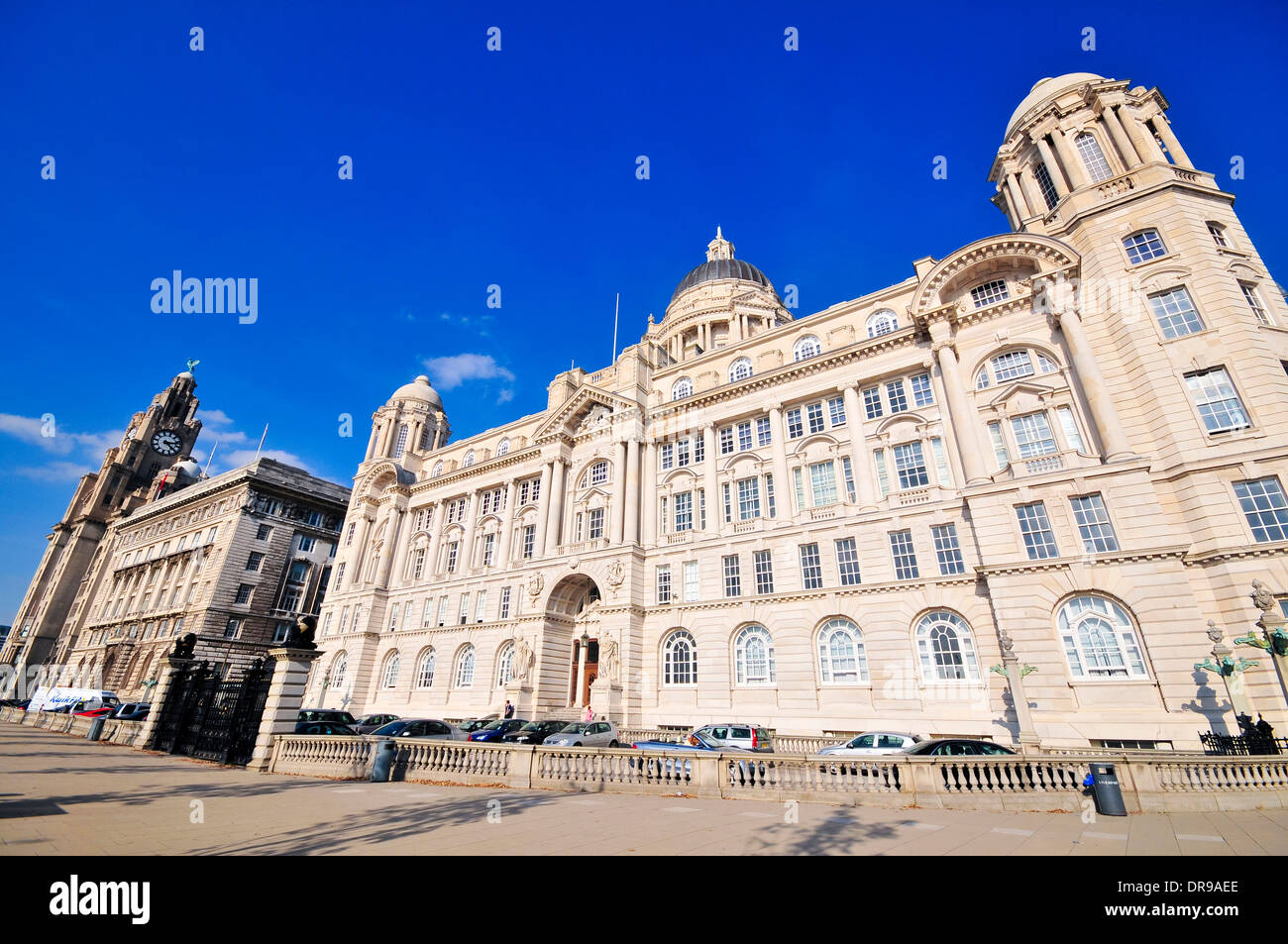Royal Liver Building, Liverpool, England, Regno Unito Foto Stock