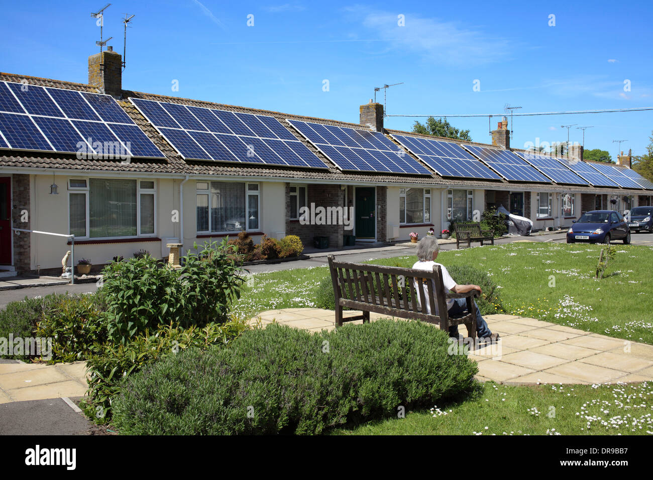 Celle fotovoltaiche sui tetti di una terrazza di singoli piani di alloggi sociali e castagni, chiudere, Congresbury, Somerset. Foto Stock