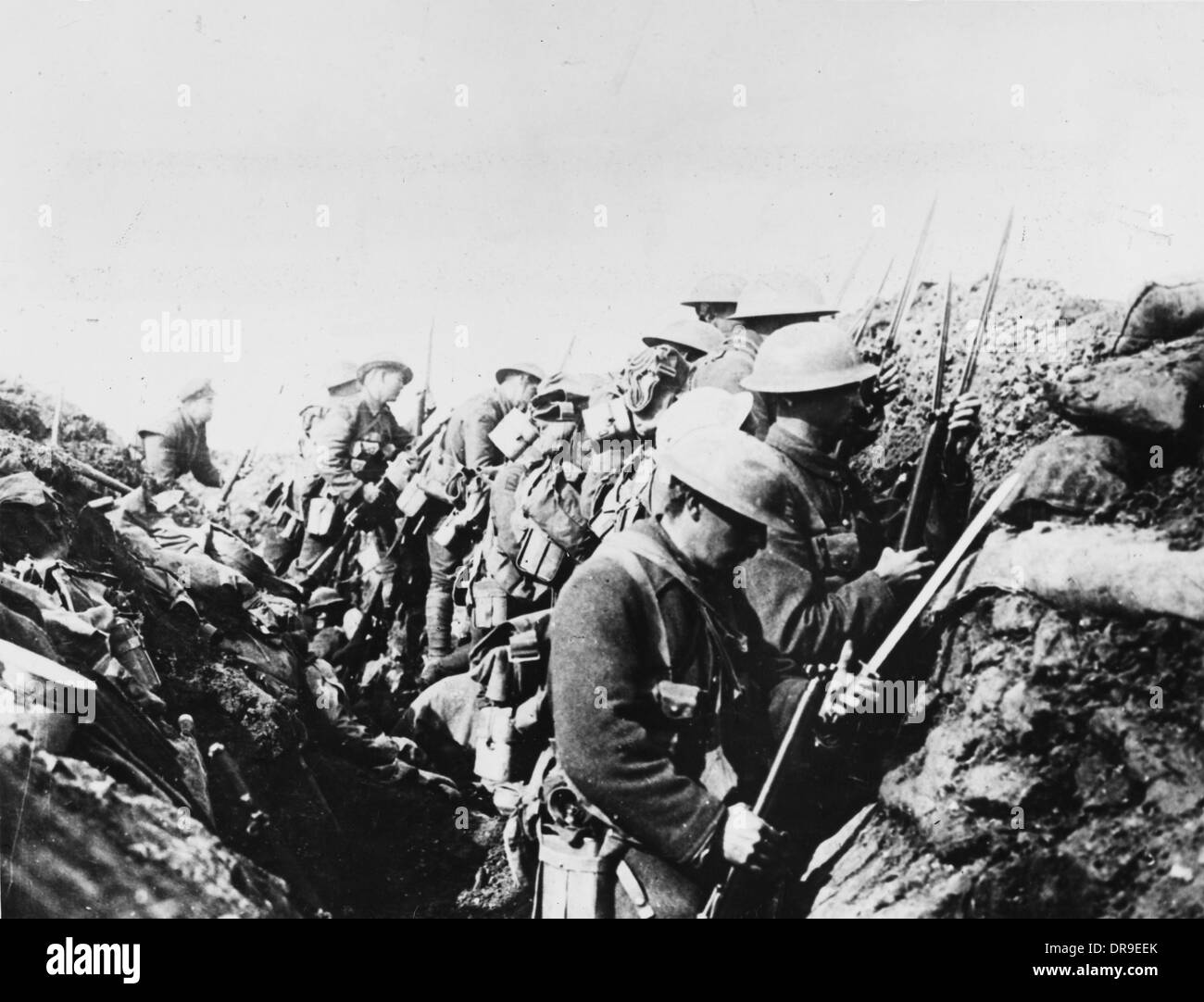 Truppe canadesi 1916 Foto Stock