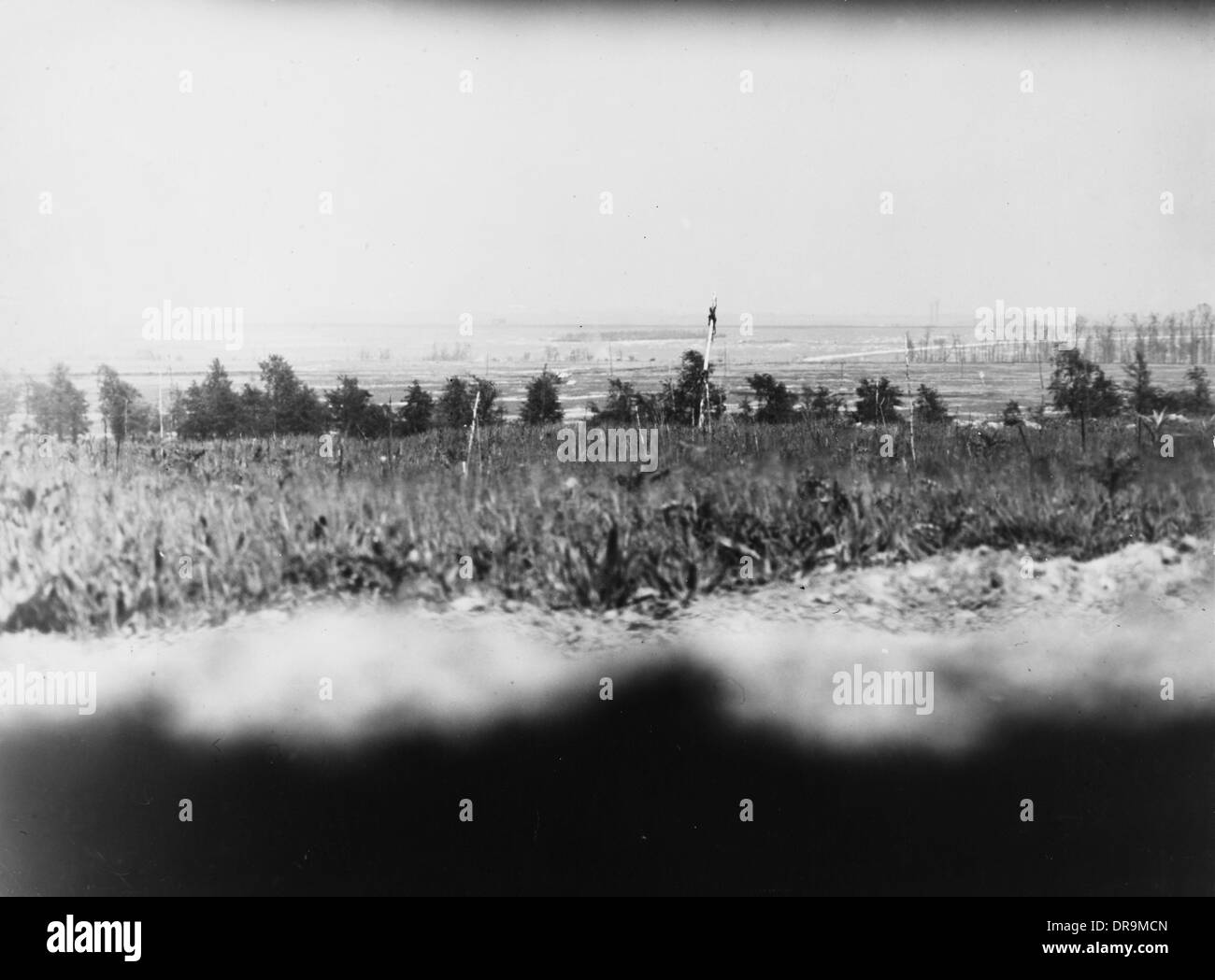 Somme 1916 Foto Stock