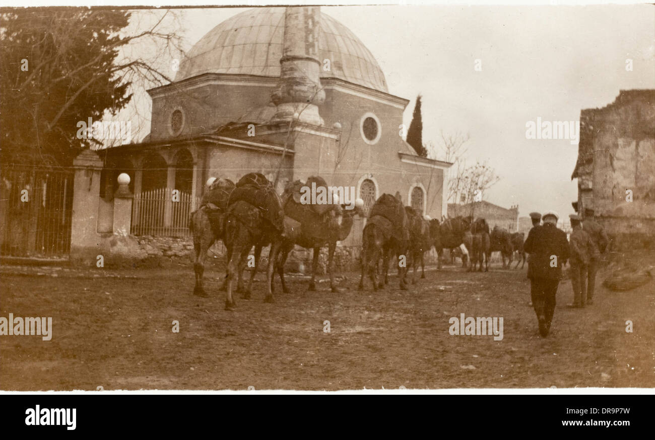 Izmir, Turchia - camel train passa moschea Foto Stock