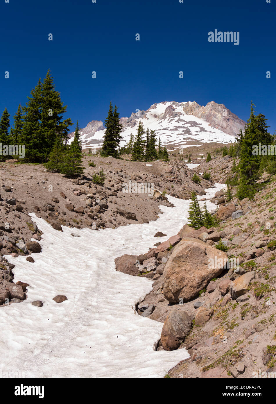 OREGON, Stati Uniti d'America - lato sud del Monte Cofano, 11,240 piedi vulcano in Cascades Range. Foto Stock