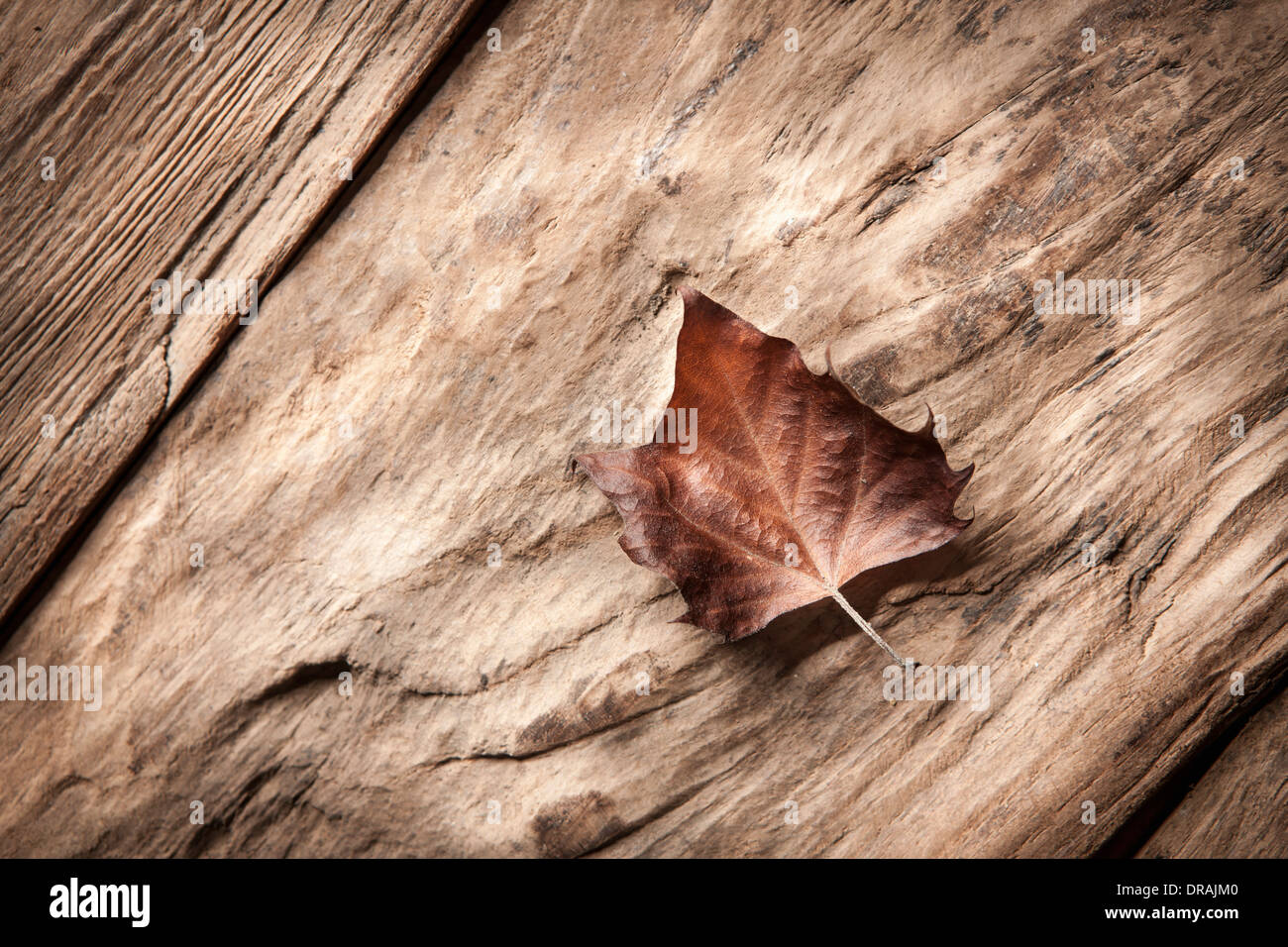 Una foglia morta sulla superficie di legno Foto Stock