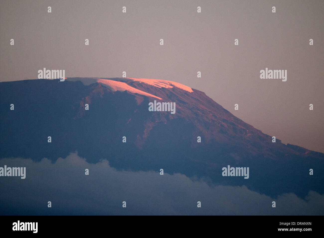 Vertice di Kilimanjaro con neve glaciale visto da pianure di Amboseli National Park in Kenya Africa orientale Foto Stock