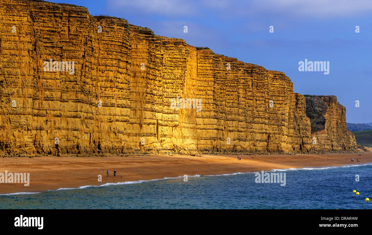Scogliere Jurassic Coast West Bay Dorset UK Broadchurch Foto Stock