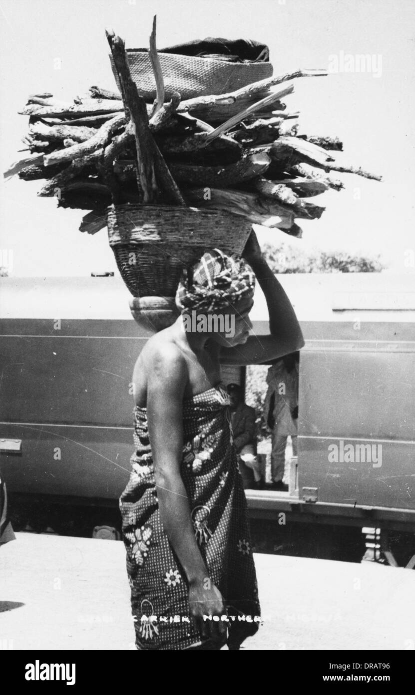 Guari portante in legno, nel nord della Nigeria, Africa Foto Stock