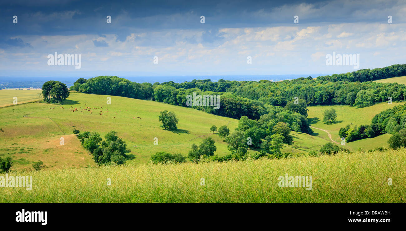 Il Wolds East Riding of Yorkshire Inghilterra Foto Stock