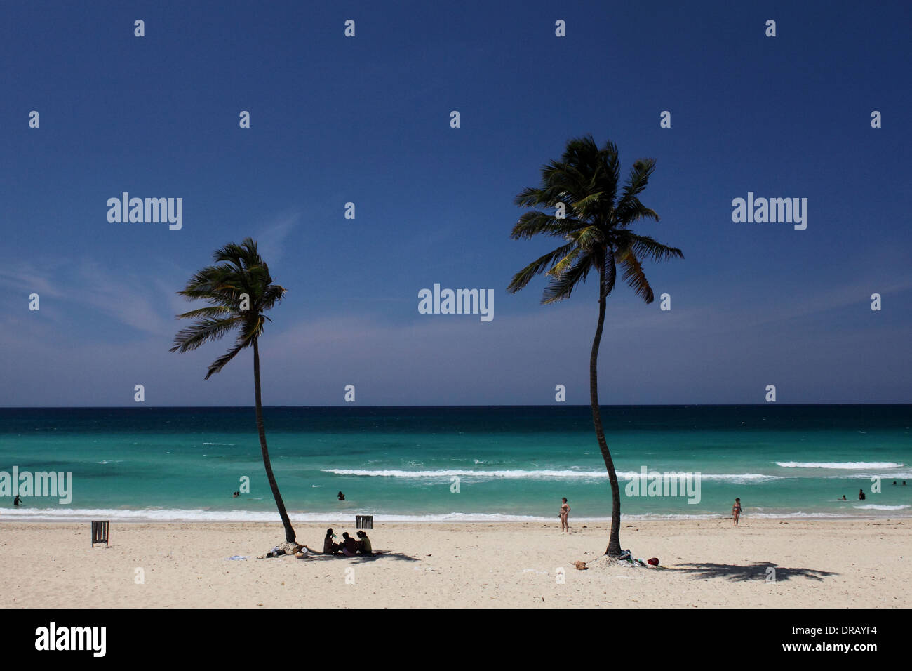 Palme e turisti sulla Playa del Este beach Havana, Cuba foto: pixstory / Alamy Foto Stock