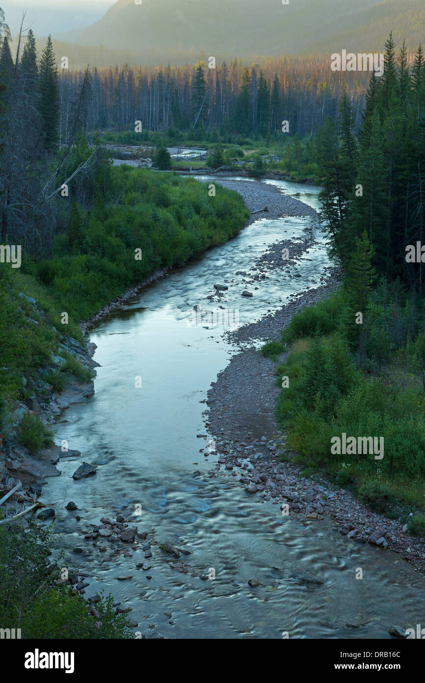 La forcella Ovest Sun fiume scorre attraverso una valle boscosa nel Bob Marshall Wilderness del Montana. Stati Uniti d'America Foto Stock