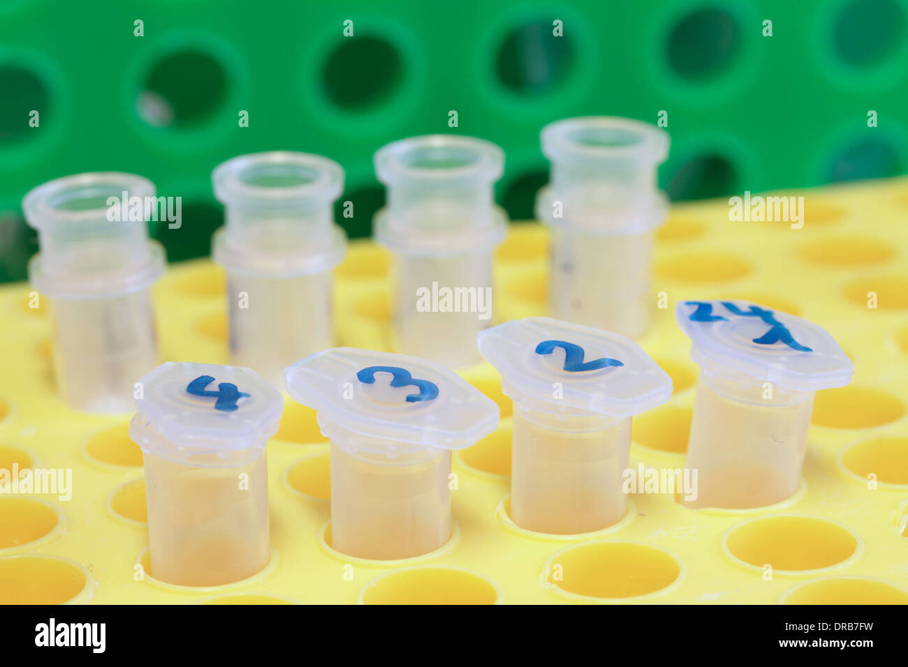 Nano tubi in rack di colore giallo in un laboratorio Foto Stock