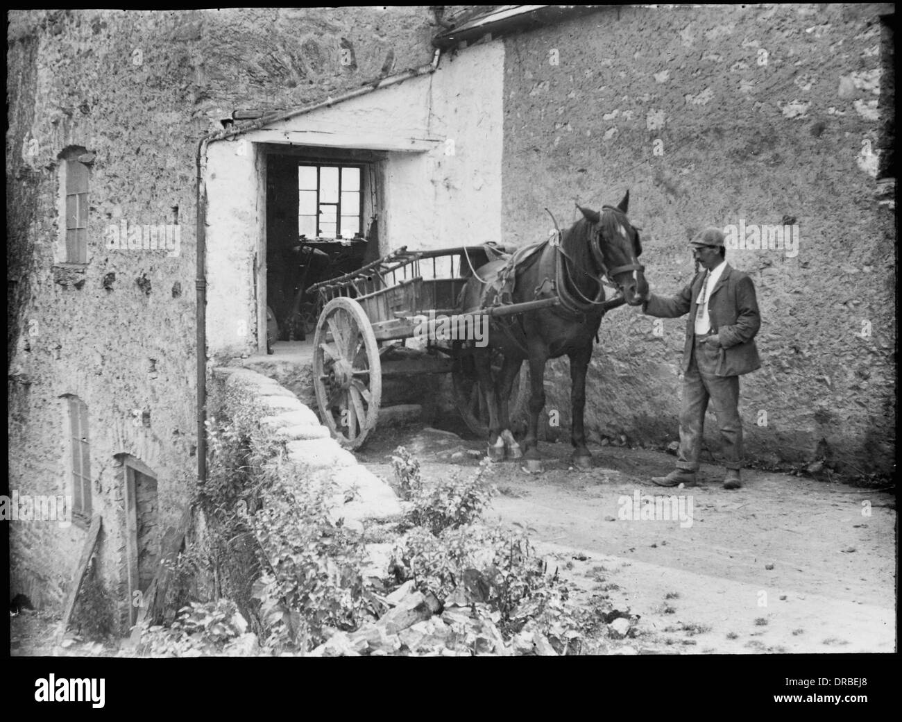 Miller George Newsham con un cavallo e il carrello al mulino Beetham nel 1906. Cumbria (poi Westmorland), Lake District, Inghilterra. Riprodotto da una lanterna in vetro scorrevole. Foto Stock