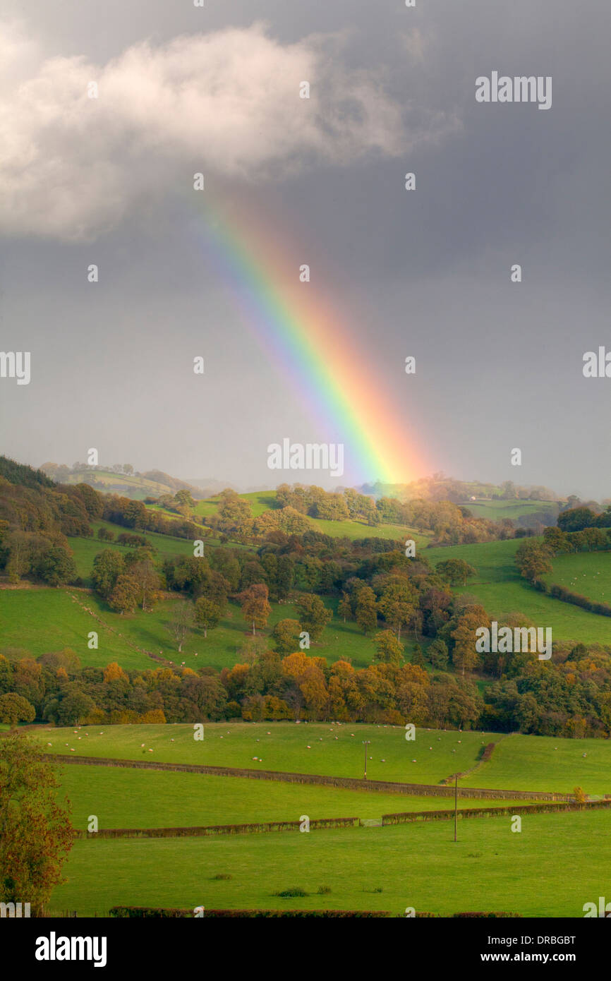 Nuvole temporalesche e un arcobaleno su terreni agricoli. Vicino Tregynon, POWYS, GALLES. Novembre. Foto Stock