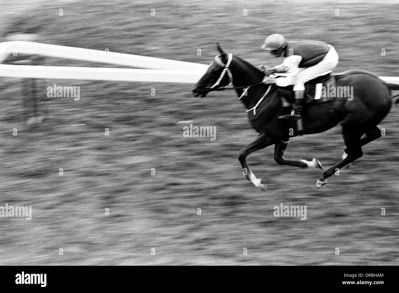 Cavallo al galoppo in corso di gara, Hong Kong, 1971 Foto Stock