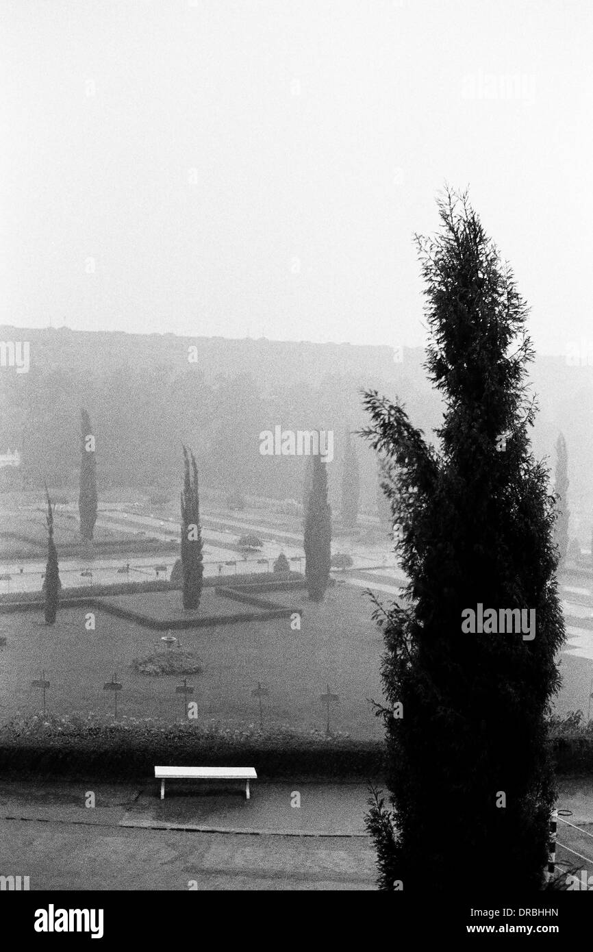 Alberi e banco vuoto, Brindavan e giardini, Mysore, Karnataka, India, 1977 Foto Stock