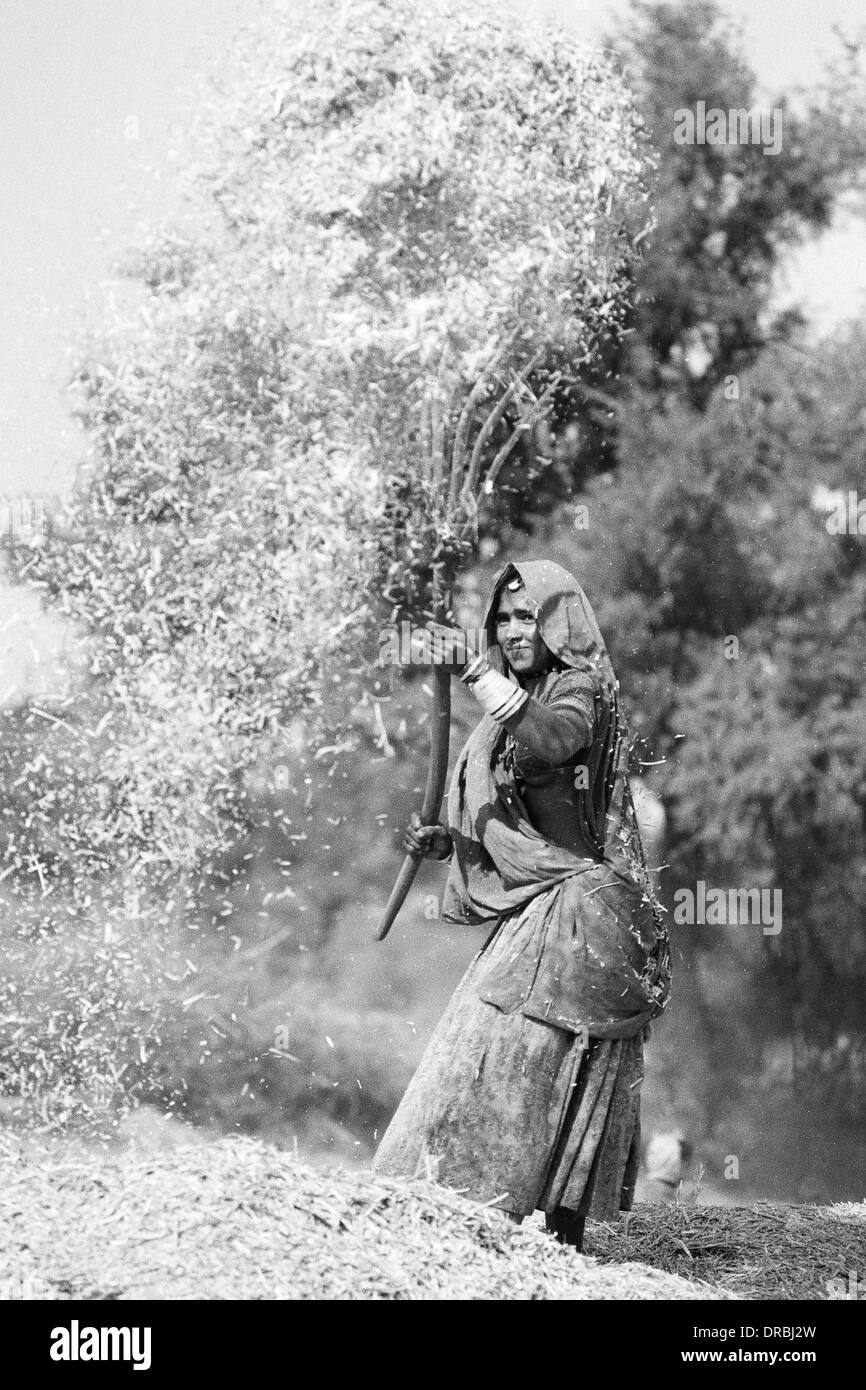 Donna gettando la granella in aria, Doli Bishnoi village, Jodhpur, Rajasthan, India, 1984 Foto Stock