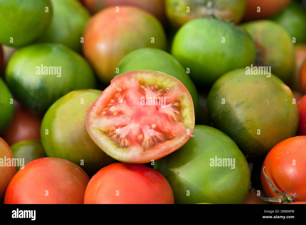 Il verde e il rosso dei pomodori per la vendita in un mercato di fattoria. Foto Stock