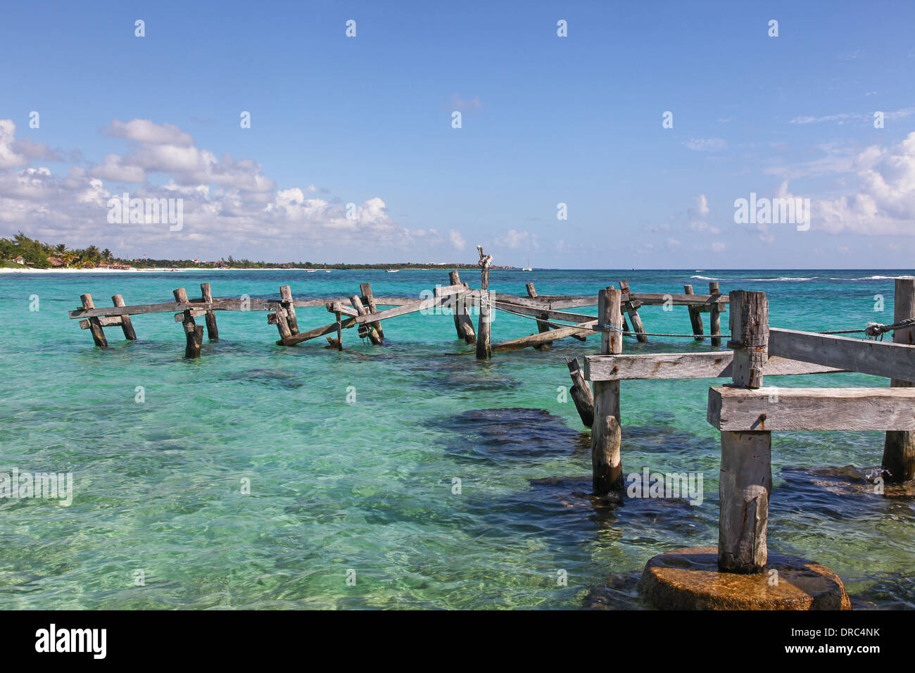 Un Pellicano seduto su un vecchio molo nel mare dei Caraibi a Riviera Maya Riviera Maya Cancun Penisola dello Yucatan in Messico Foto Stock