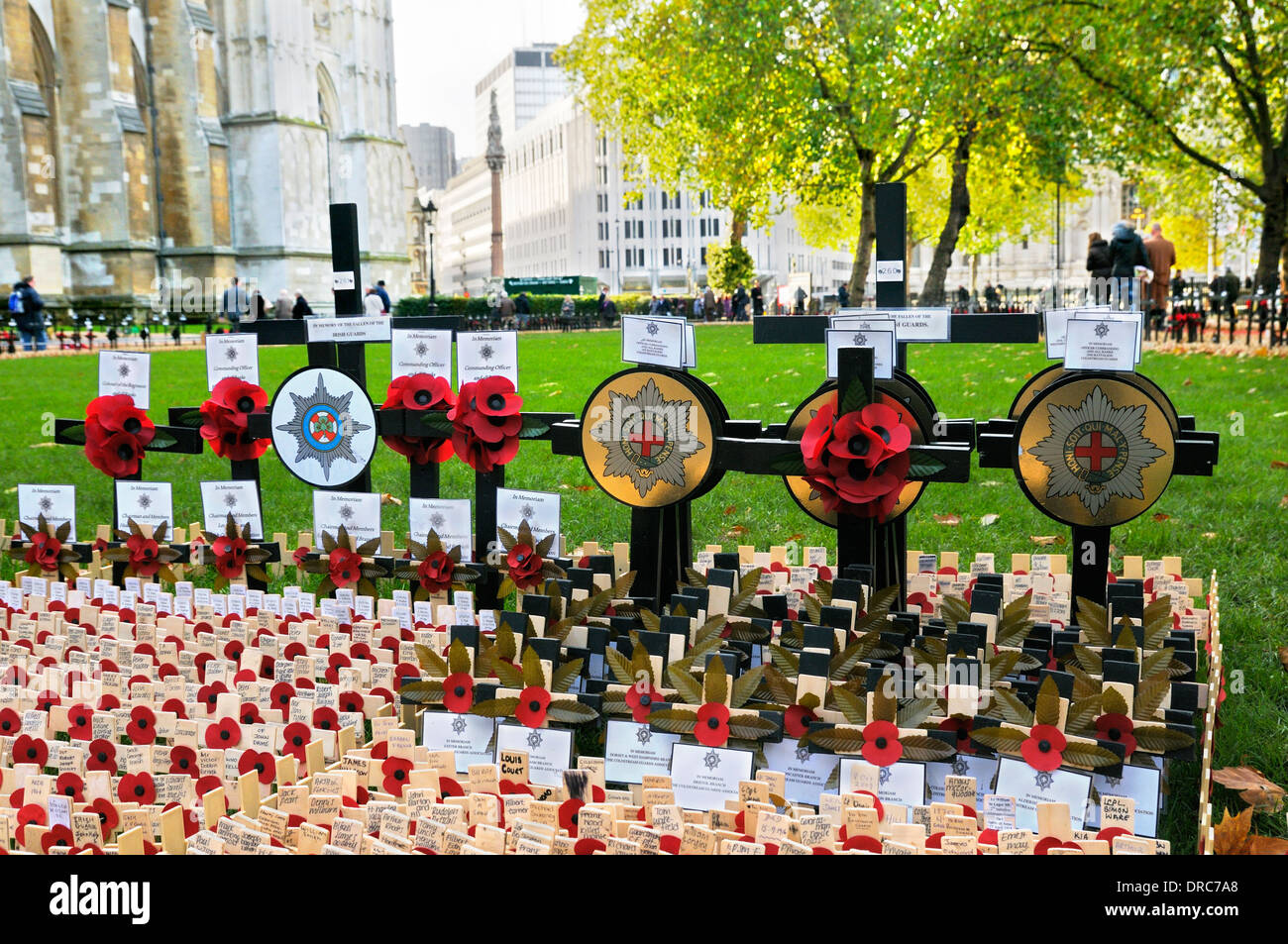 Croci e di papavero nel campo del ricordo presso l'Abbazia di Westminster, Londra, Inghilterra, Regno Unito Foto Stock
