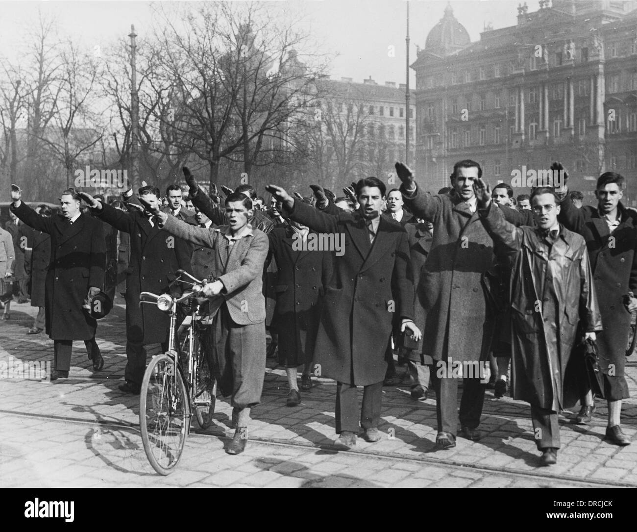 Nazionale socialista studente rally - Anschluss Foto Stock