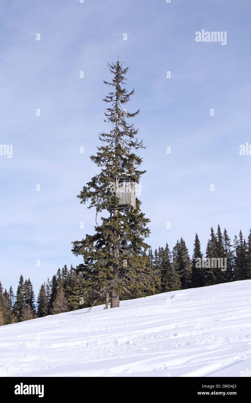 La fauna selvatica punto di osservazione, la torre della caccia, sull'abete, l'inverno e neve Foto Stock
