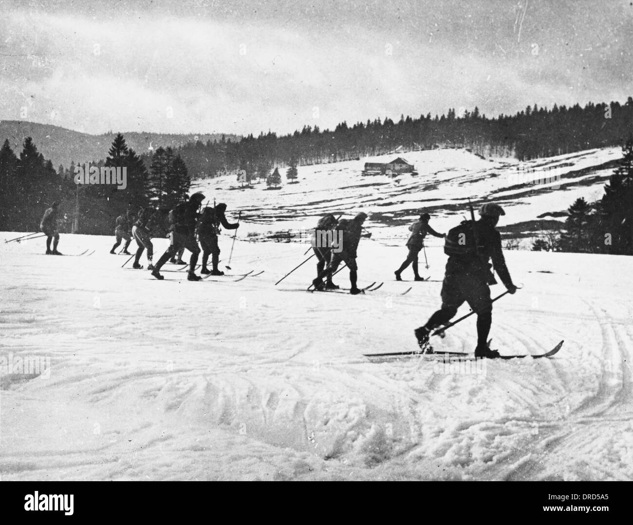 Truppe Alpine WWI Foto Stock