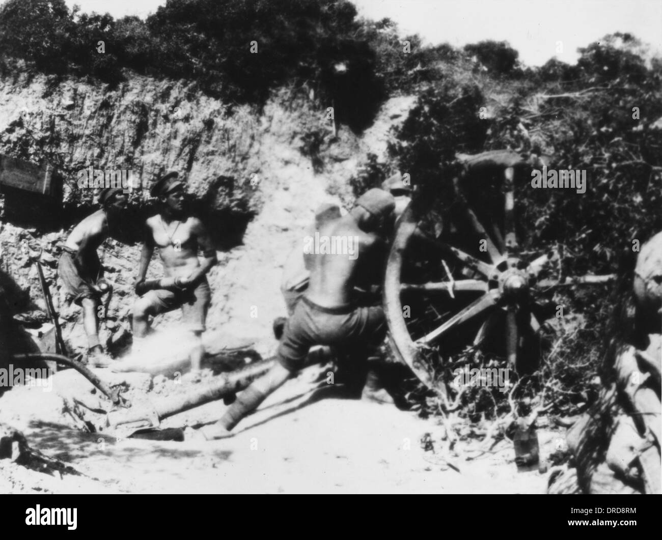 Artiglieria Anzac WWI Foto Stock