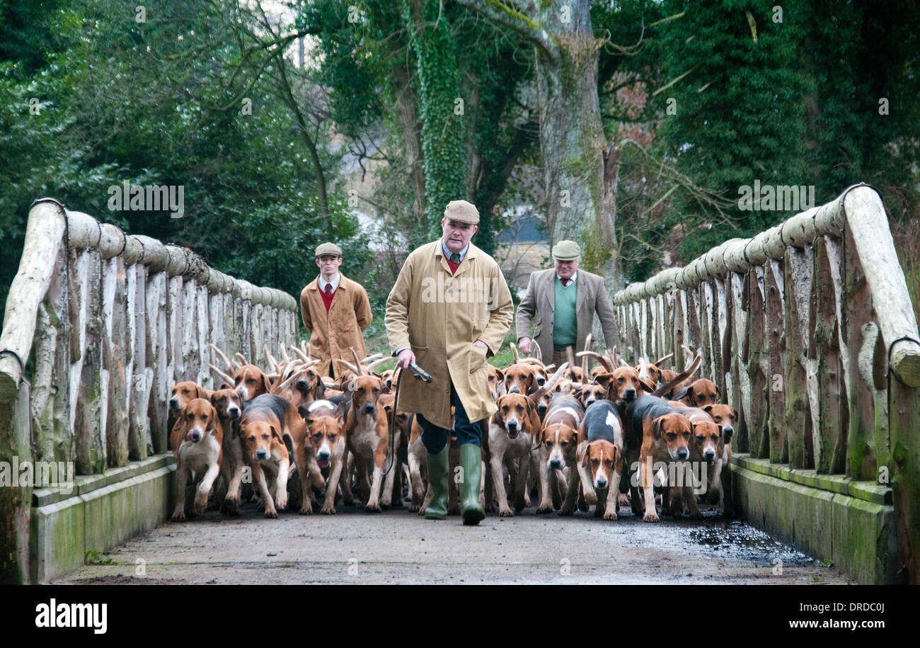 La Huntsman e i suoi segugi Foto Stock