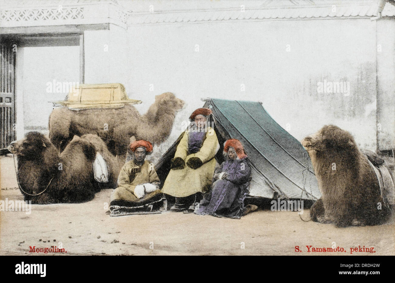 Commercianti mongola in Cina con i cammelli Foto Stock