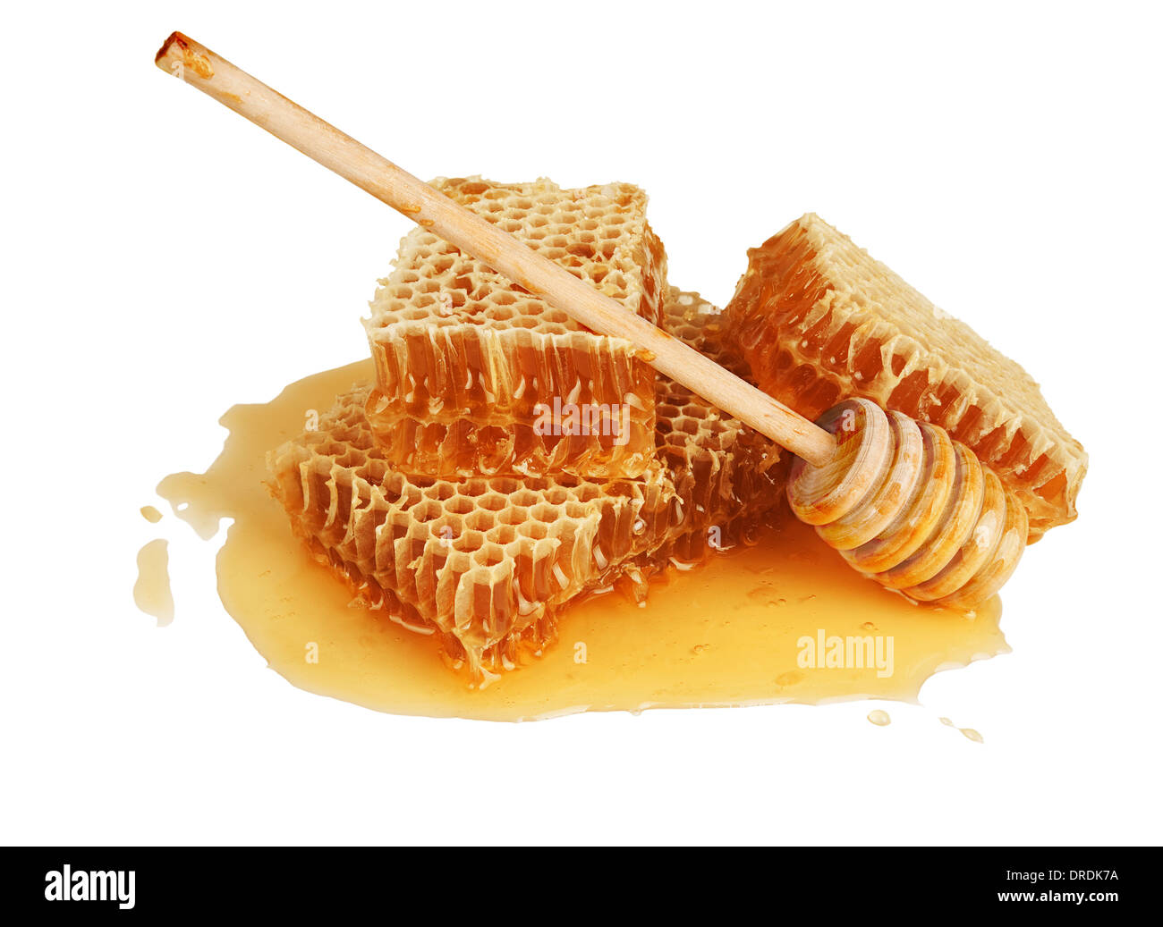 Fresco a nido d'oro e bastone di legno isolato su sfondo bianco Foto Stock