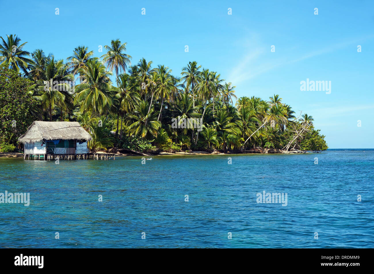 Costa Tropicale con una rustica capanna su palafitte sopra l'acqua, isola di Bastimentos, Bocas del Toro, Panama, Mar dei Caraibi Foto Stock
