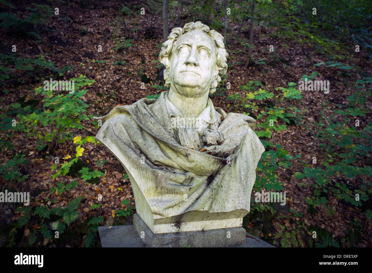 Johann Wolfgang Goethe, busto Foto Stock