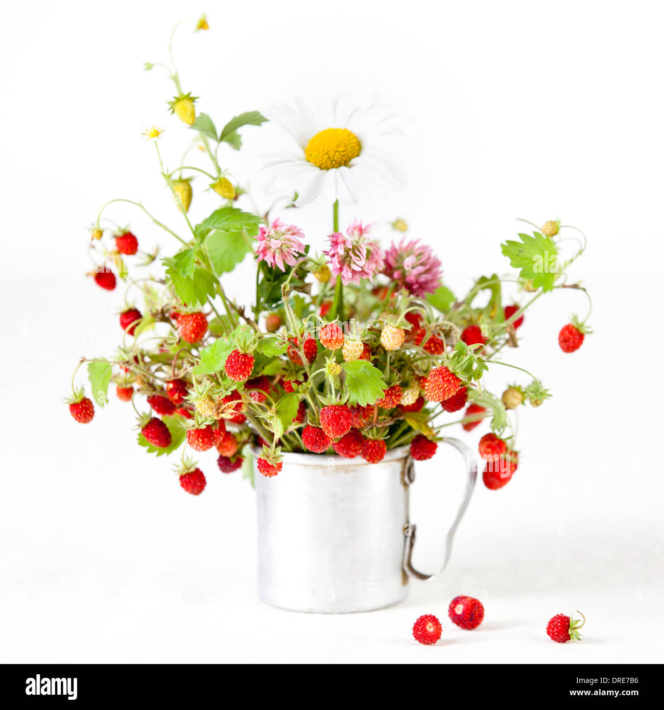 Bouquet di fragole selvatiche su sfondo bianco Foto Stock