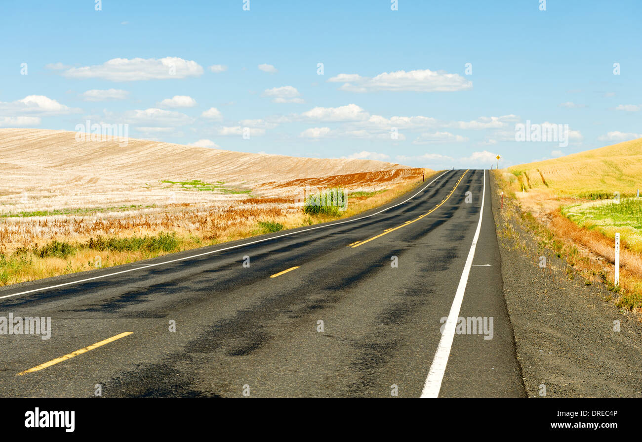 Strada di campagna nel Palouse colline di Whitman County, nello Stato di Washington, USA. Foto Stock