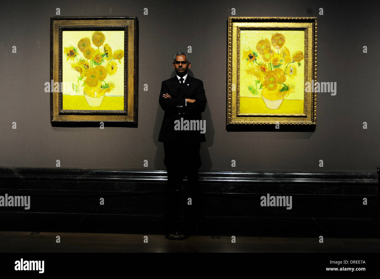 La National Gallery di Londra, Regno Unito. 24 gen 2014. 24.1.14,la National Gallery di Londra, Regno Unito. Premere il tasto View - Dal 25 gennaio 2014 fino al 27 aprile due versioni di girasole può essere visto di lato-da-lato. I dipinti della National Gallery di Londra e il Museo di Van Gogh, Amsterdam, si sono riuniti per la prima volta in 65 anni. Credito: Malcolm Park editoriale/Alamy Live News Foto Stock