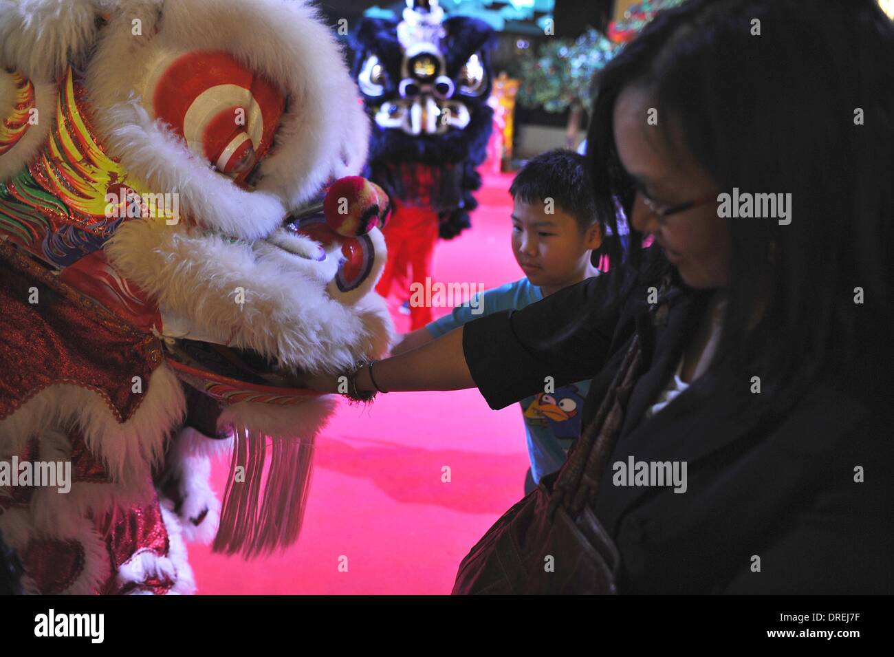 Jakarta, gen. 24. 24 gen 2014. Un Lion performance di danza è tenuto a celebrare il prossimo nuovo anno lunare cinese presso un centro commerciale per lo shopping di Jakarta, Indonesia, gennaio 24, 2014. Le comunità cinesi in Indonesia prepararsi a celebrare l Anno del cavallo a gennaio 31, 2014. © Zulkarnain/Xinhua/Alamy Live News Foto Stock