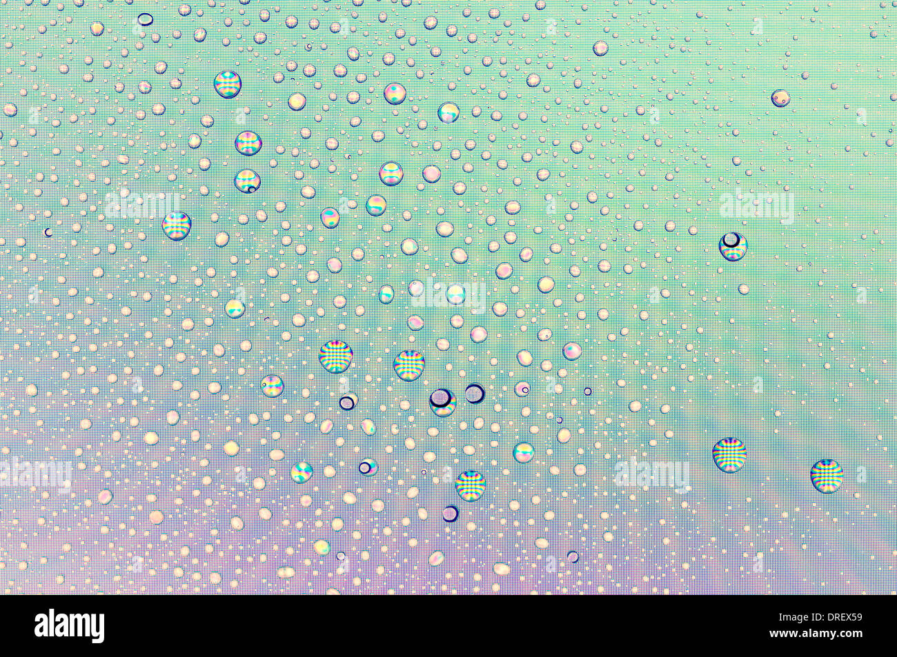 Goccioline sullo schermo Foto Stock