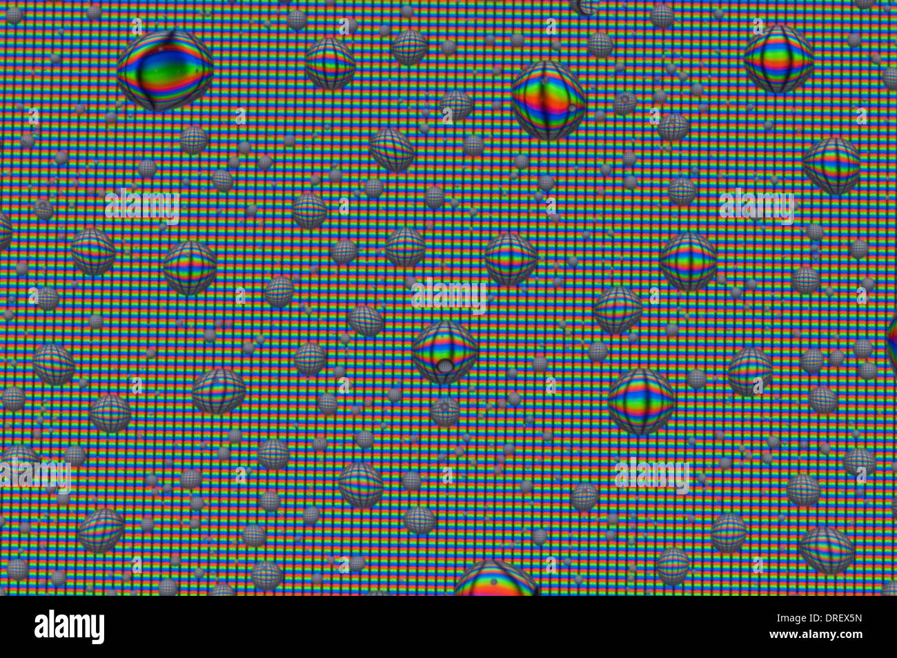 Goccioline sullo schermo Foto Stock