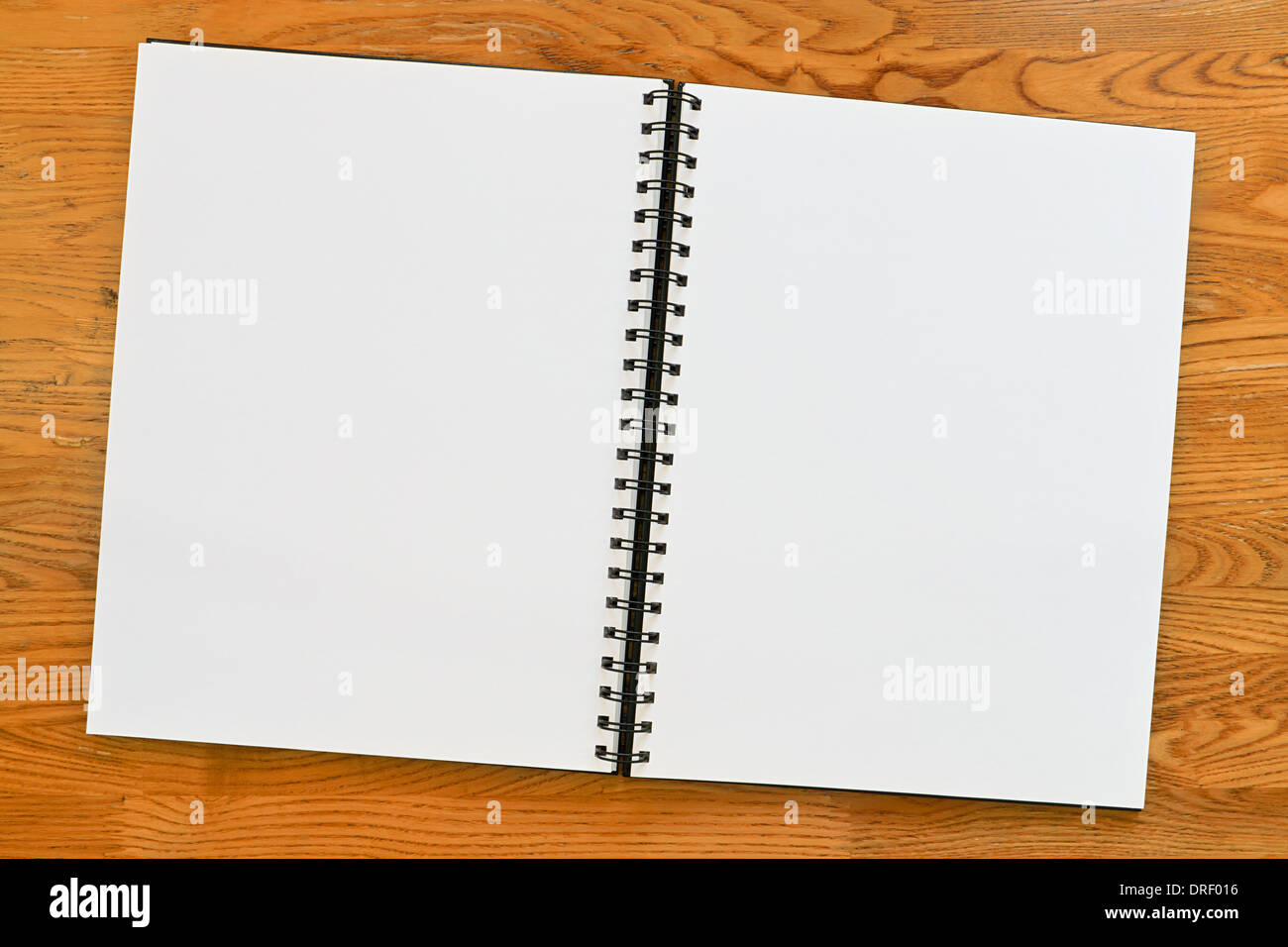 Pagina doppia anello vuoto Binder con copia spazio. Grande surround . Foto Stock