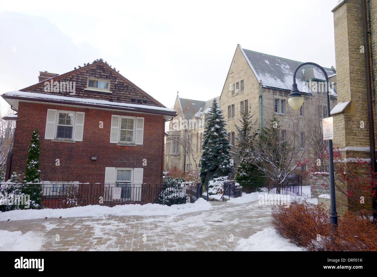 Università di Toronto edifici a Toronto in Canada Foto Stock