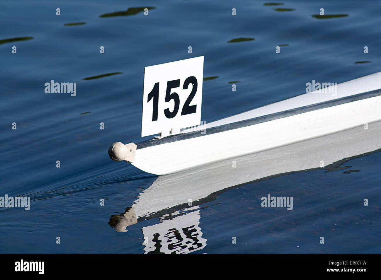 Racing shell in barca per competere in una competitiva gara a remi Foto Stock