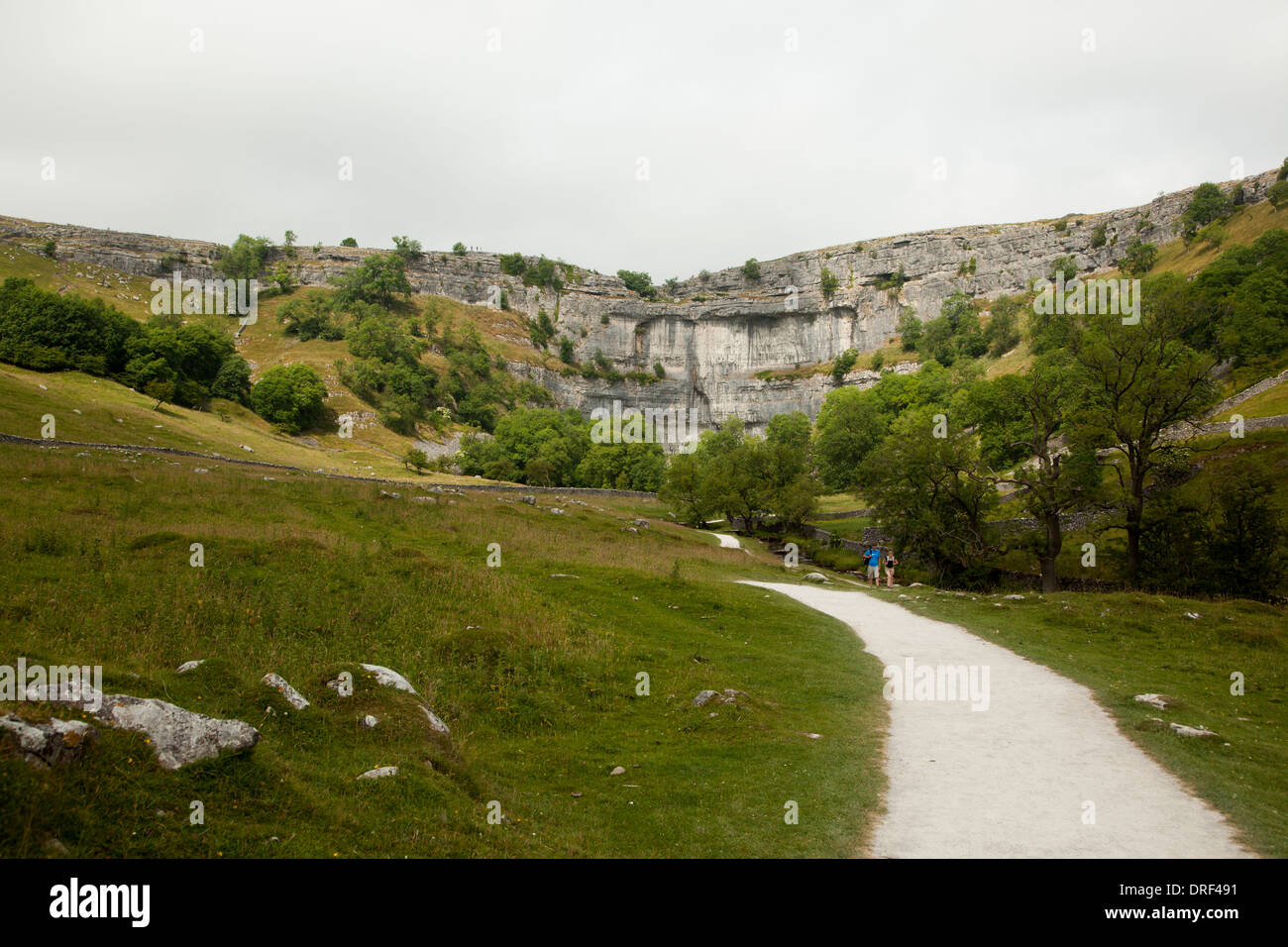 Malham Cove percorso ingresso Yorkshire Regno Unito Foto Stock