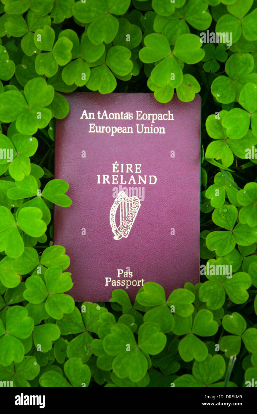 Passaporto irlandese in un letto di trifoglio verde Foto Stock