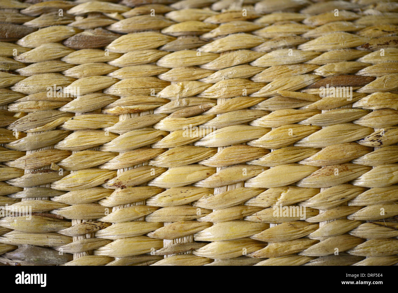 Reed sullo sfondo di armatura Foto Stock