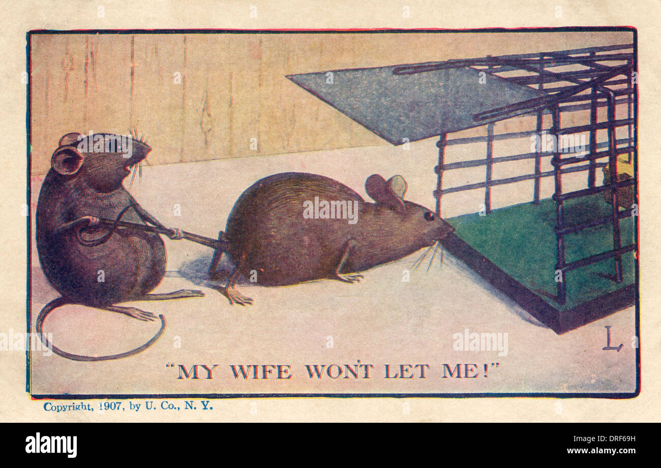 Mouse tenuto lontano da Mousetrap Foto Stock