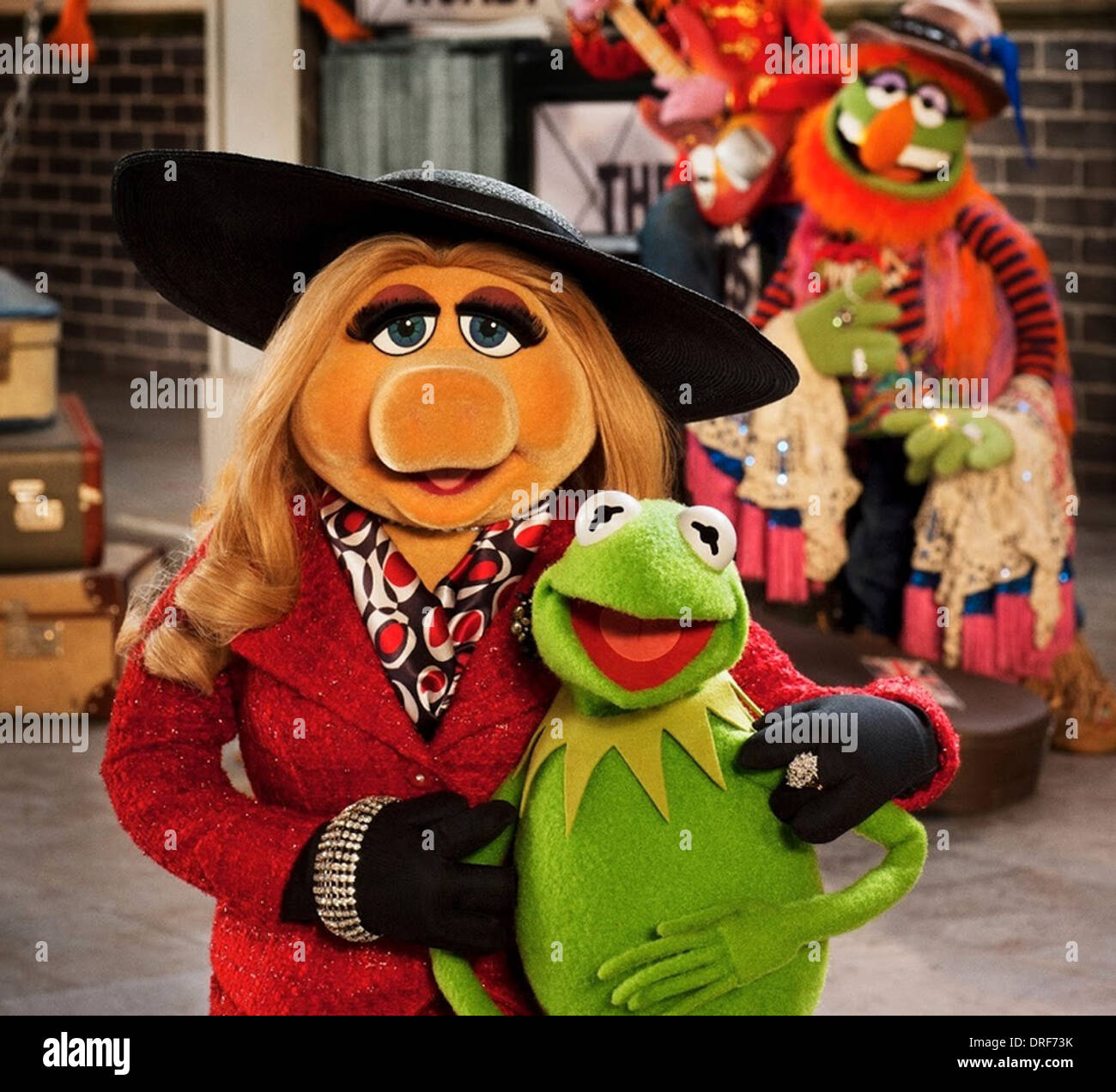 I MUPPETS più voluto 2014 Walt Disney Pictures film con Miss Piggy e Kermit Foto Stock