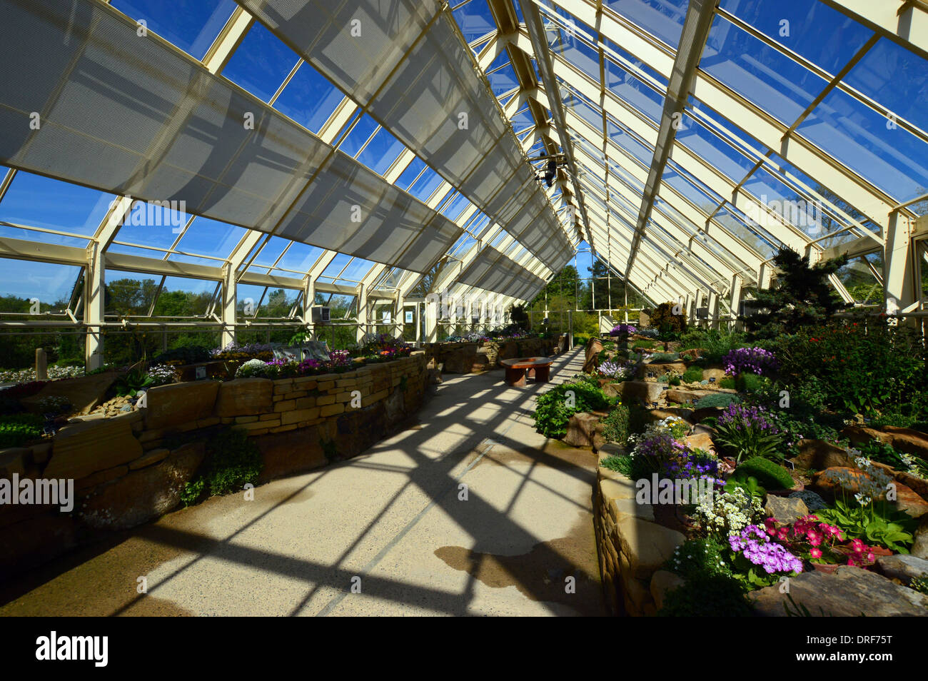 All'interno della casa alpina ad RHS Garden Harlow Carr, Harrogate, Yorkshire. Foto Stock