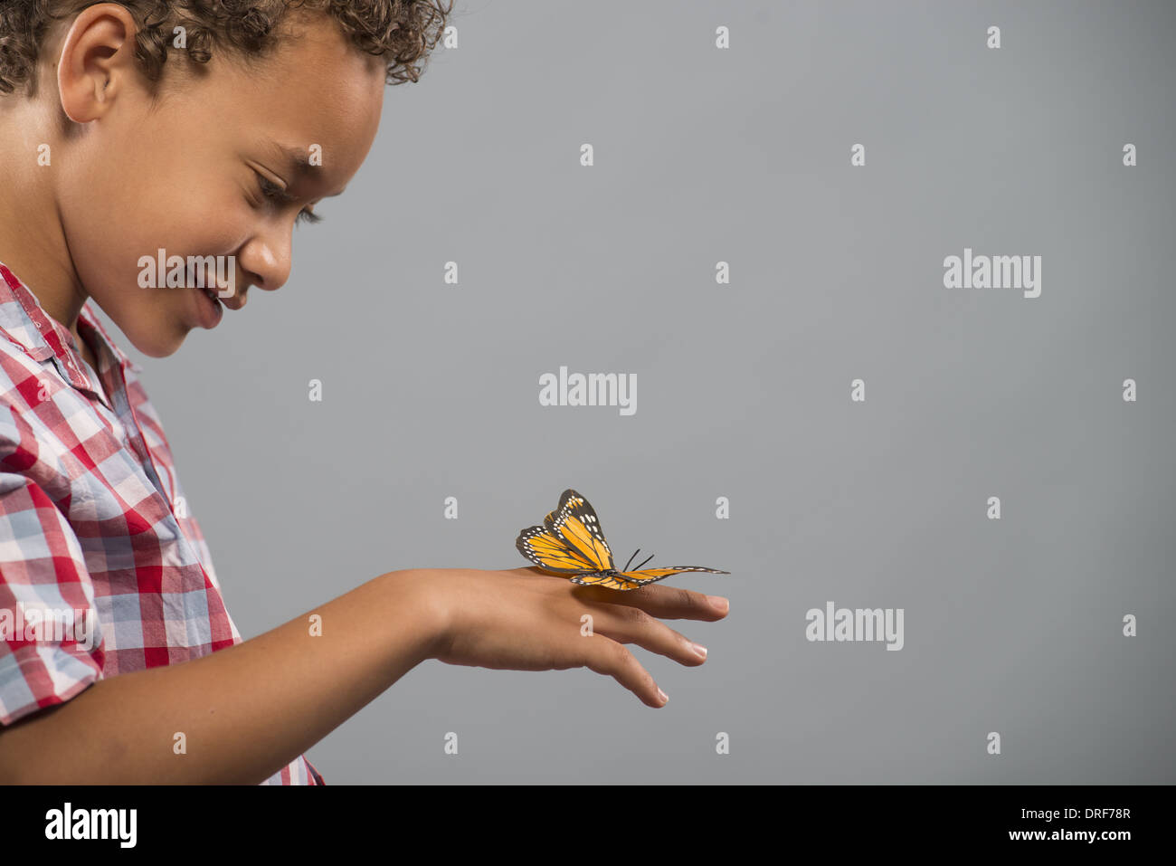 USA Utah bambino con farfalla su mano mantenendo molto ancora Foto Stock